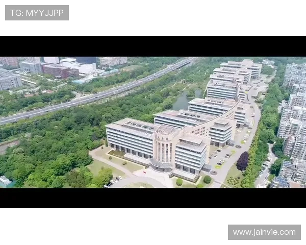 K8凯发网址登录线路的最新优化措施，带来更稳定的登录体验